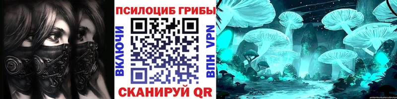 Галлюциногенные грибы Psilocybe  цена   Бердск 